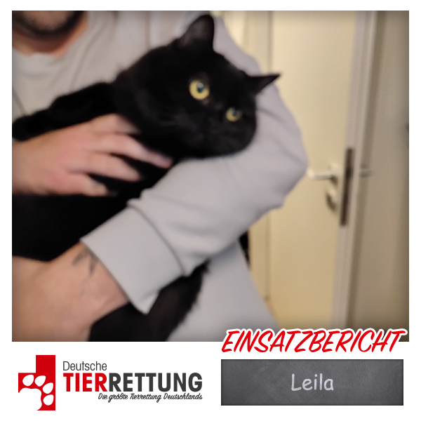 Tierrettung Einsatz: Leila in Bochum