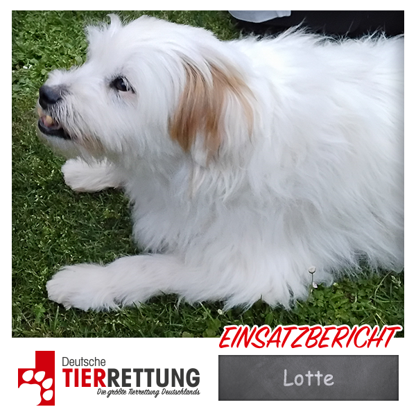 Tierrettung Einsatz: Lotte in Voerde