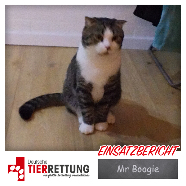 Tierrettung Einsatz: Mr Boogie in Ratingen