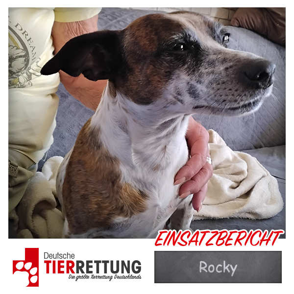 Tierrettung Einsatz: Rocky in Schwelm