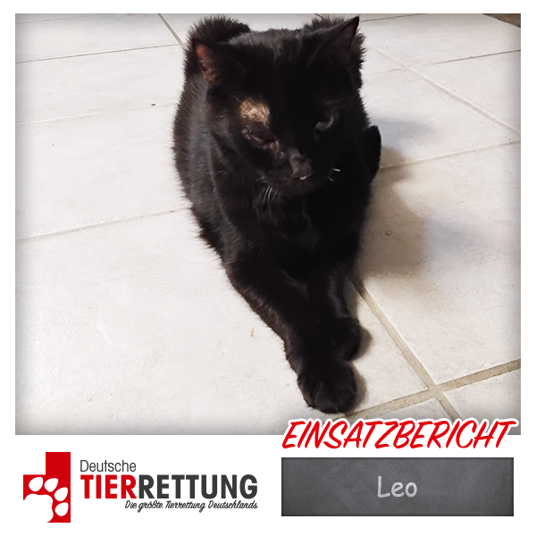 Tierrettung Einsatz: Leo in Krefeld