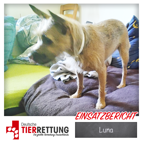 Tierrettung Einsatz: Luna in Hamm
