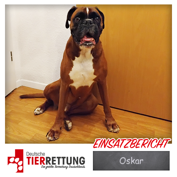 Tierrettung Einsatz: Oskar in Hattingen