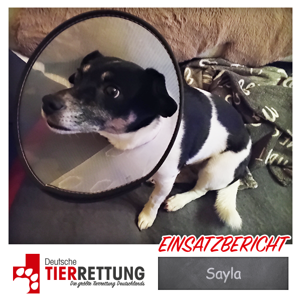 Tierrettung Einsatz: Sayla in Neuss