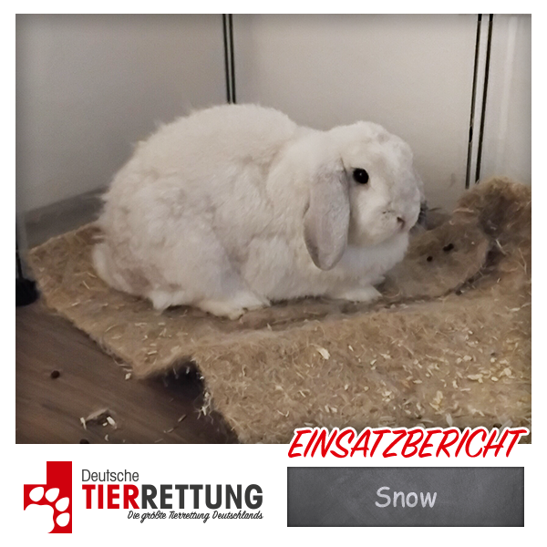 Tierrettung Einsatz: Snow in Lünen