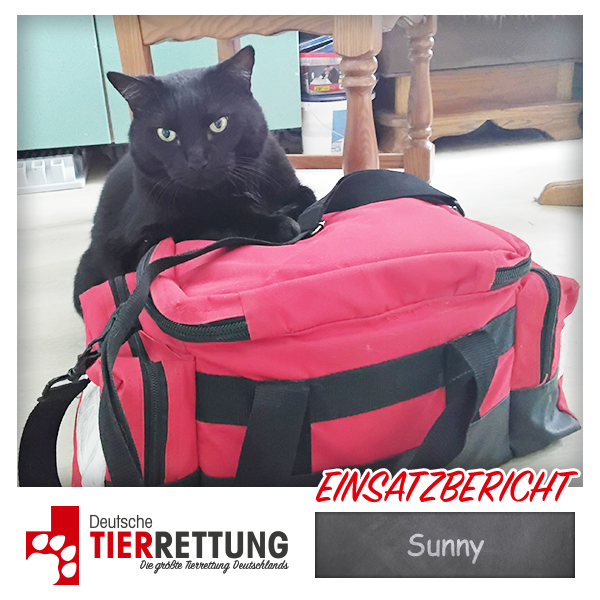 Tierrettung Einsatz: Sunny in Bochum
